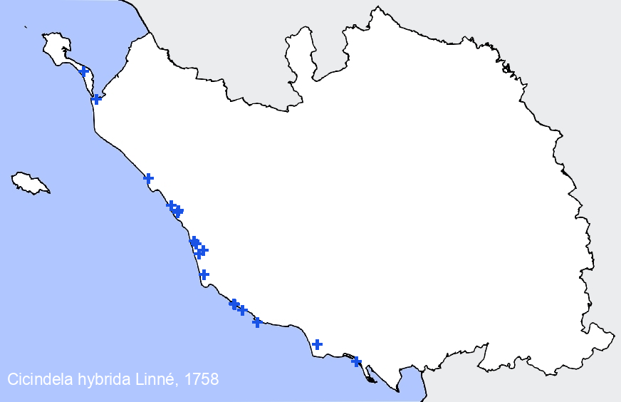 Chargement de la carte...