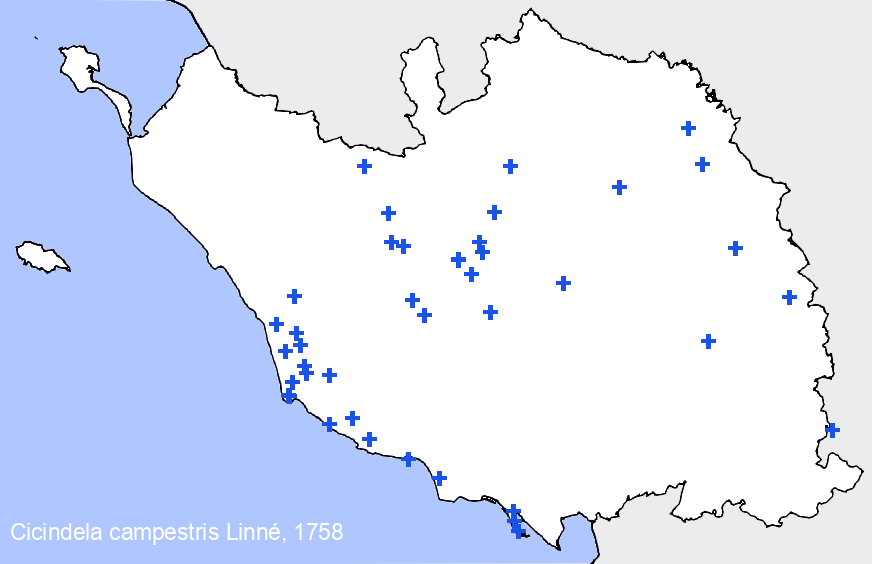 Chargement de la carte...