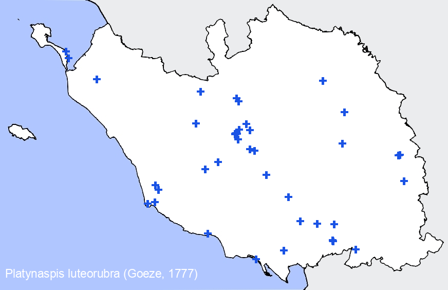 Chargement de la carte...