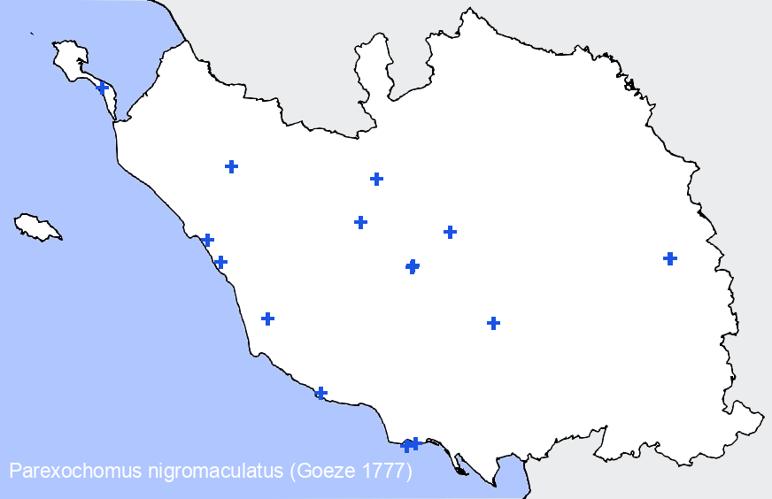 Chargement de la carte...