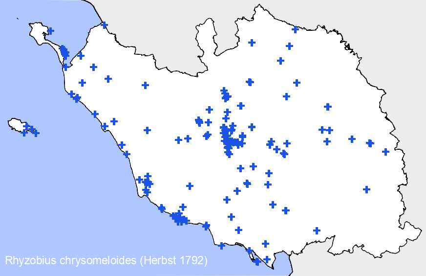 Chargement de la carte...