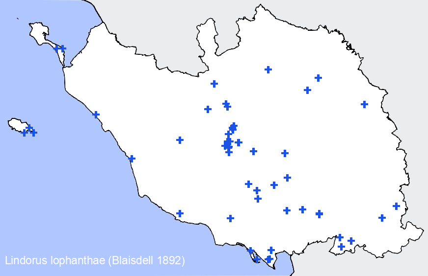 Chargement de la carte...