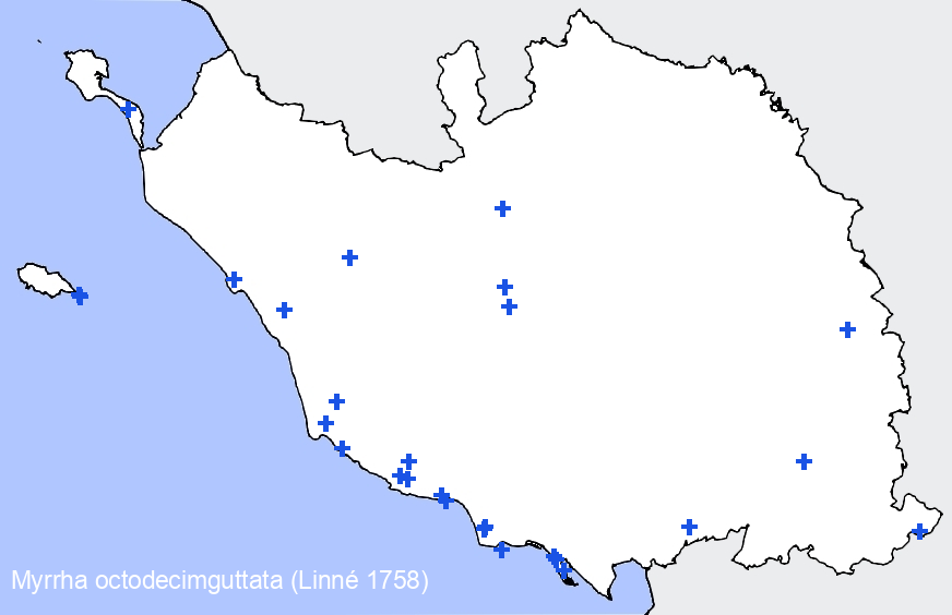 Chargement de la carte...