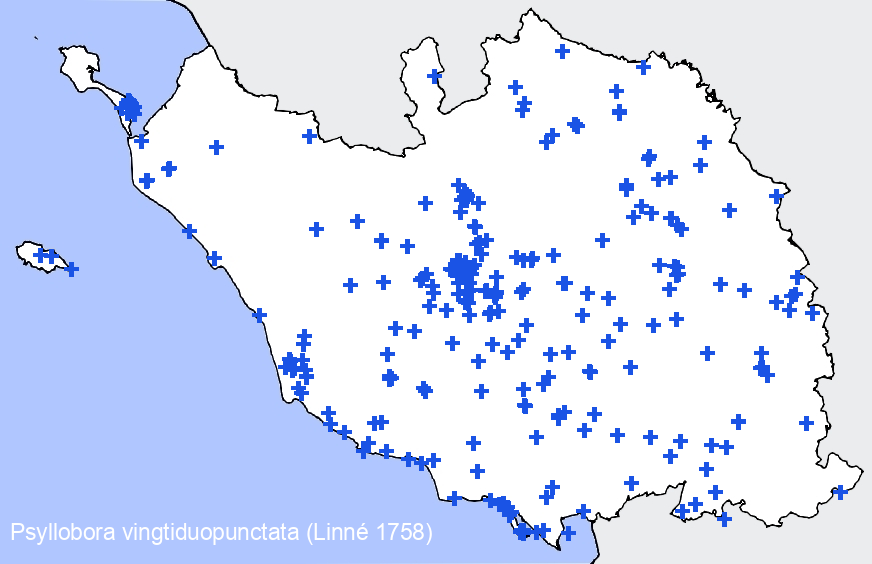 Chargement de la carte...