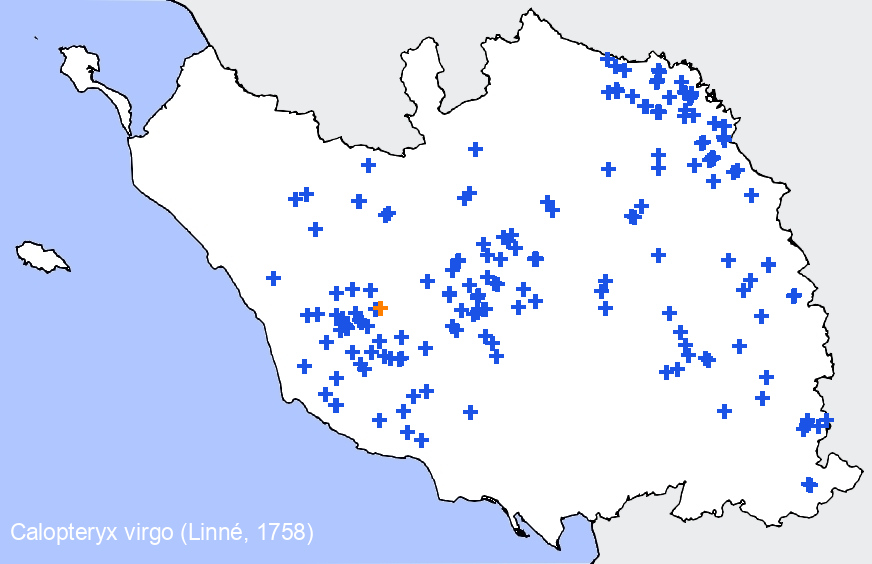 Chargement de la carte...