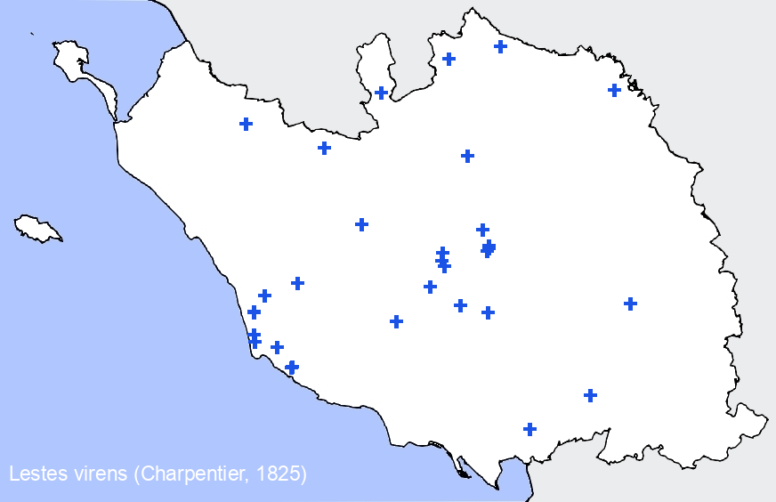 Chargement de la carte...