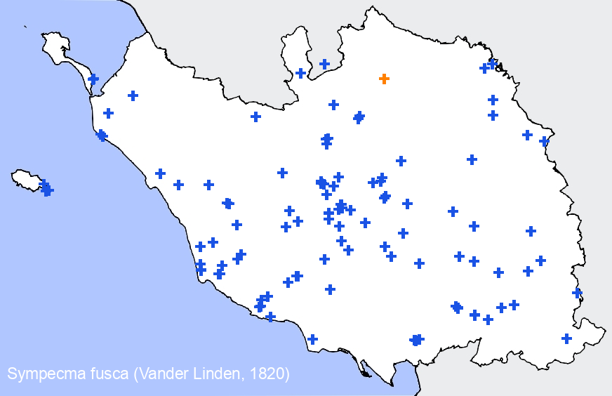 Chargement de la carte...