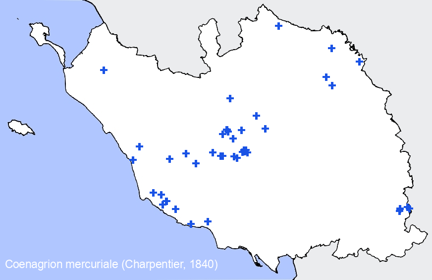 Chargement de la carte...