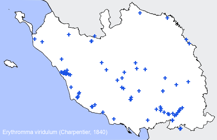 Chargement de la carte...