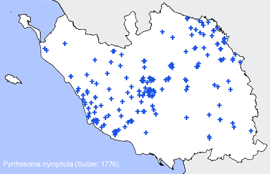 Chargement de la carte...