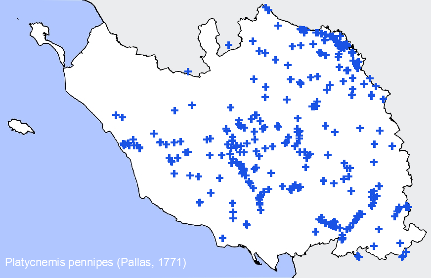 Chargement de la carte...