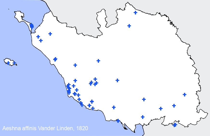 Chargement de la carte...