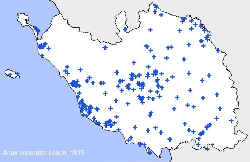 Chargement de la carte...