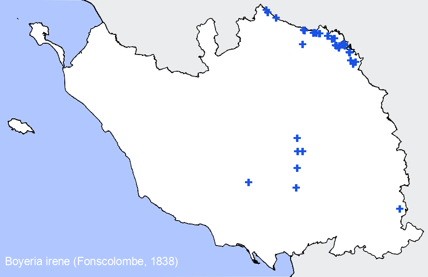 Chargement de la carte...