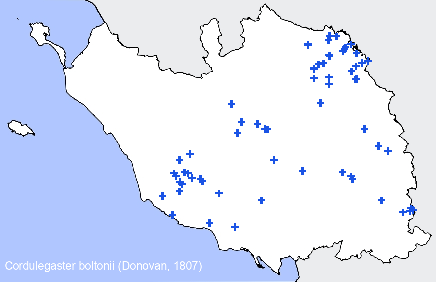Chargement de la carte...