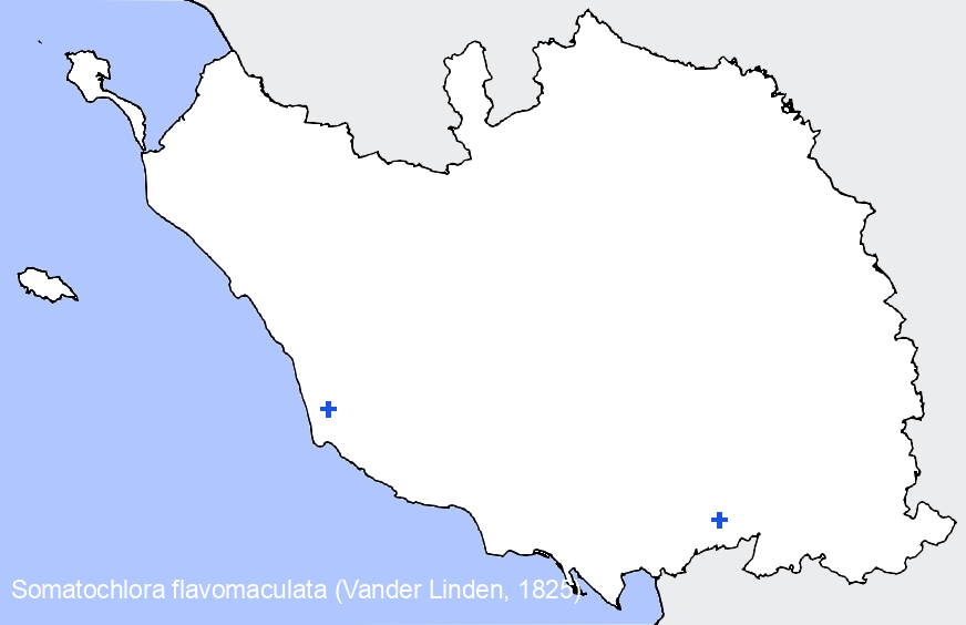 Chargement de la carte...