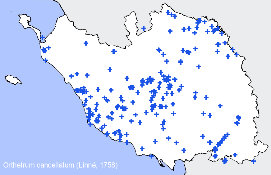 Chargement de la carte...