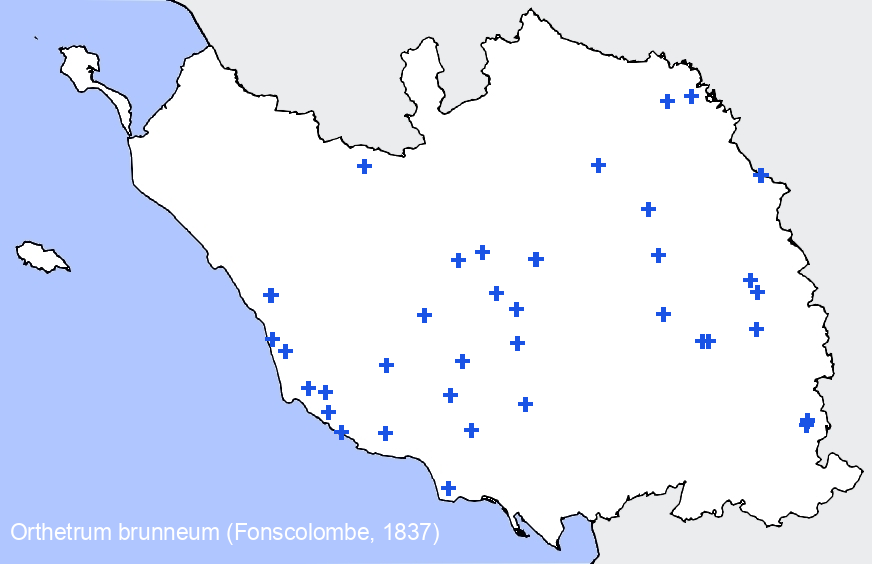 Chargement de la carte...