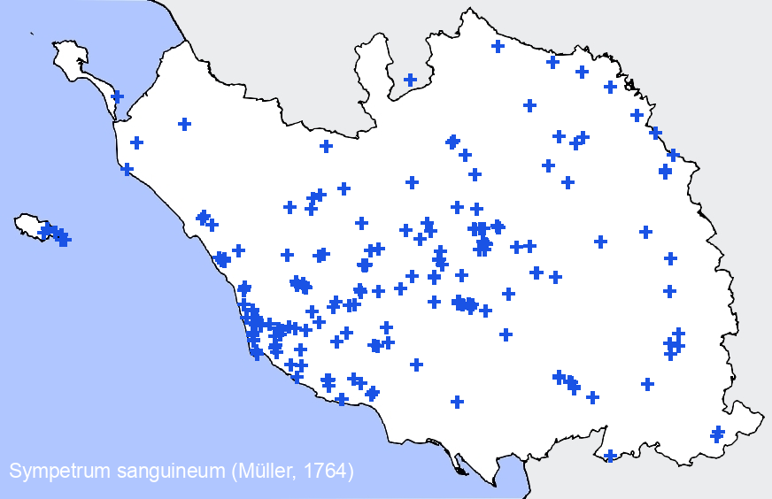 Chargement de la carte...