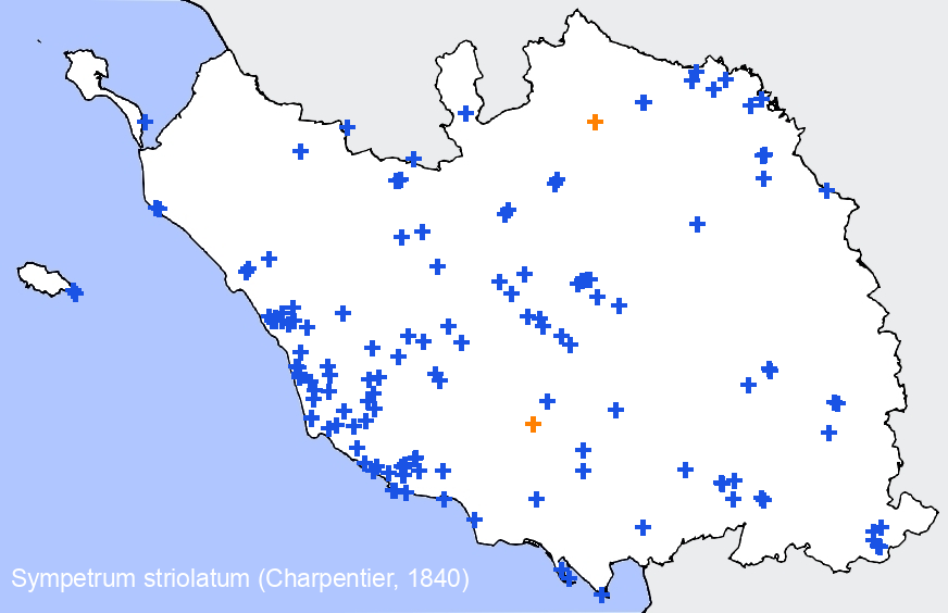 Chargement de la carte...