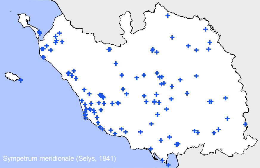 Chargement de la carte...