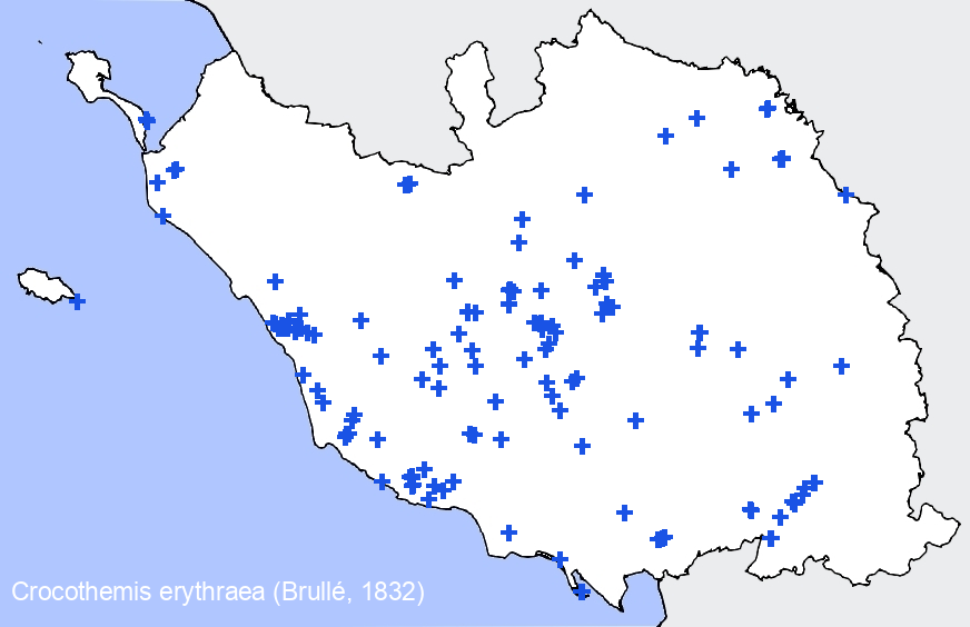 Chargement de la carte...
