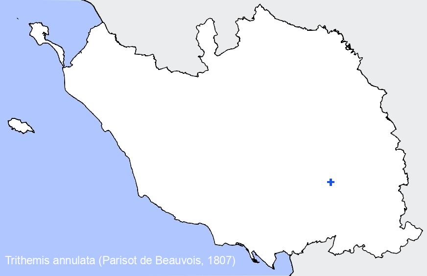 Chargement de la carte...